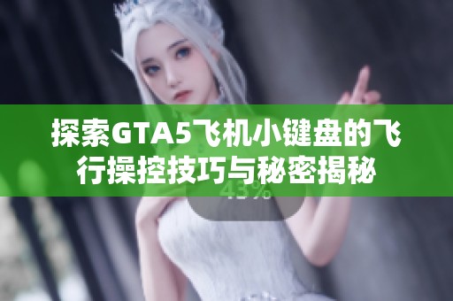 探索GTA5飞机小键盘的飞行操控技巧与秘密揭秘