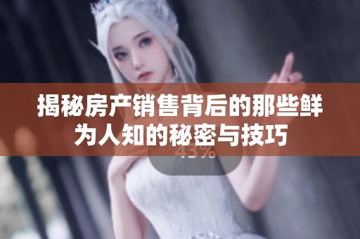 揭秘房产销售背后的那些鲜为人知的秘密与技巧