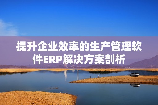 提升企业效率的生产管理软件ERP解决方案剖析