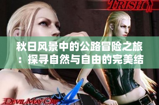 秋日风景中的公路冒险之旅：探寻自然与自由的完美结合