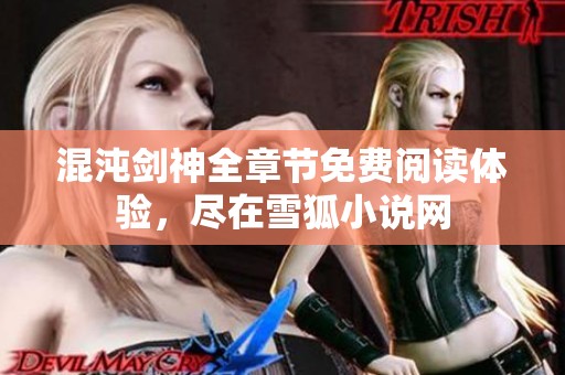 混沌剑神全章节免费阅读体验，尽在雪狐小说网