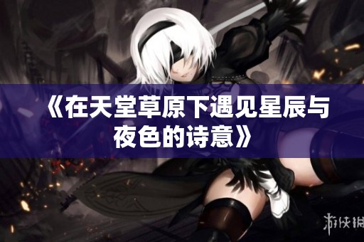 《在天堂草原下遇见星辰与夜色的诗意》