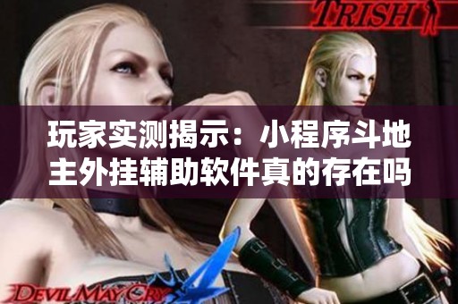 玩家实测揭示：小程序斗地主外挂辅助软件真的存在吗