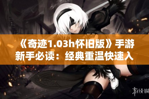 《奇迹1.03h怀旧版》手游新手必读：经典重温快速入门技巧指南