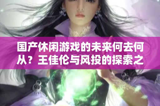 国产休闲游戏的未来何去何从？王佳伦与风投的探索之路