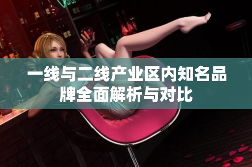 一线与二线产业区内知名品牌全面解析与对比