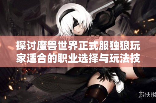 探讨魔兽世界正式服独狼玩家适合的职业选择与玩法技巧