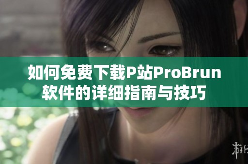 如何免费下载P站ProBrun软件的详细指南与技巧