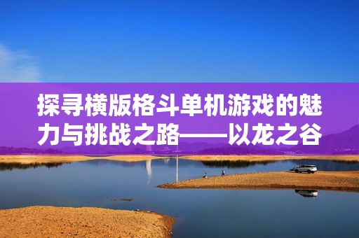 探寻横版格斗单机游戏的魅力与挑战之路——以龙之谷和无双为例