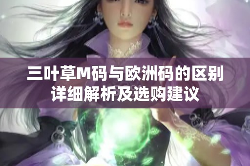 三叶草M码与欧洲码的区别详细解析及选购建议