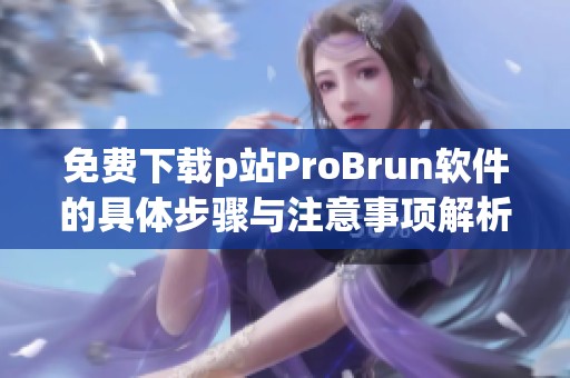 免费下载p站ProBrun软件的具体步骤与注意事项解析