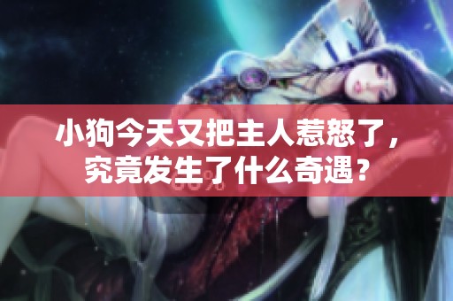 小狗今天又把主人惹怒了，究竟发生了什么奇遇？