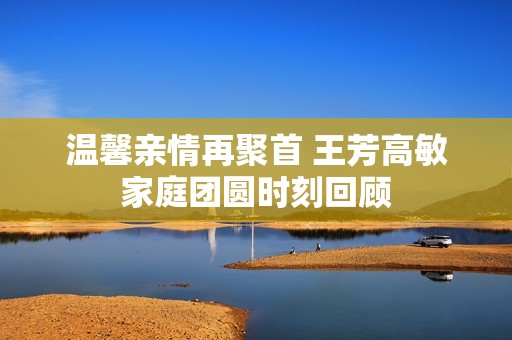 温馨亲情再聚首 王芳高敏家庭团圆时刻回顾