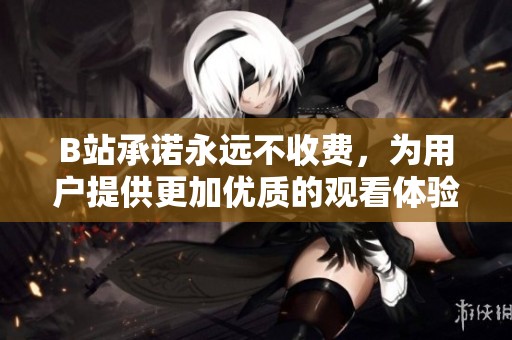 B站承诺永远不收费，为用户提供更加优质的观看体验