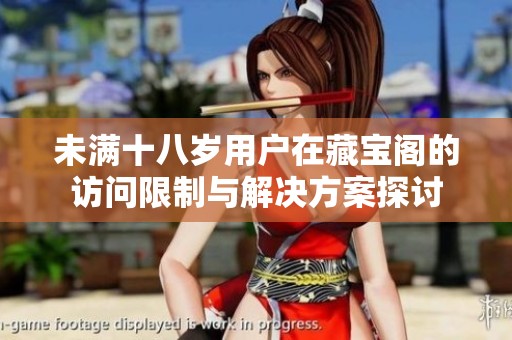 未满十八岁用户在藏宝阁的访问限制与解决方案探讨