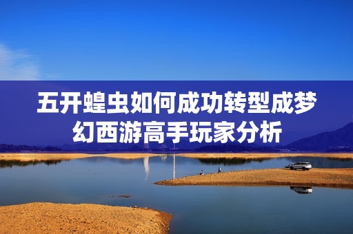 五开蝗虫如何成功转型成梦幻西游高手玩家分析