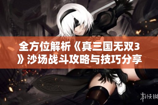 全方位解析《真三国无双3》沙场战斗攻略与技巧分享