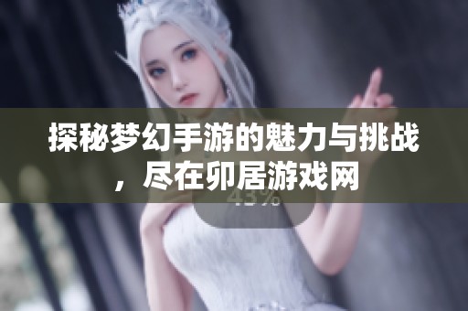 探秘梦幻手游的魅力与挑战，尽在卯居游戏网