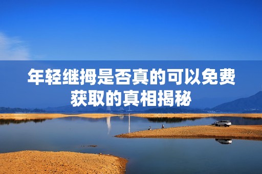 年轻继拇是否真的可以免费获取的真相揭秘