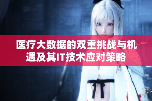 医疗大数据的双重挑战与机遇及其IT技术应对策略