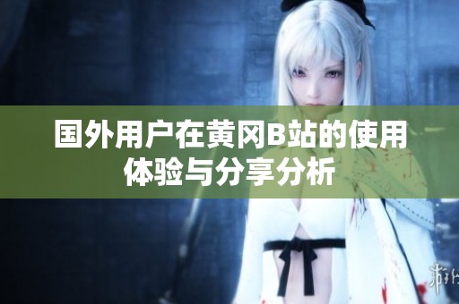 国外用户在黄冈B站的使用体验与分享分析