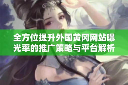 全方位提升外国黄冈网站曝光率的推广策略与平台解析