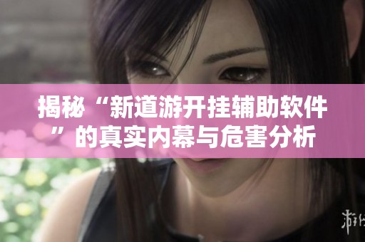 揭秘“新道游开挂辅助软件”的真实内幕与危害分析