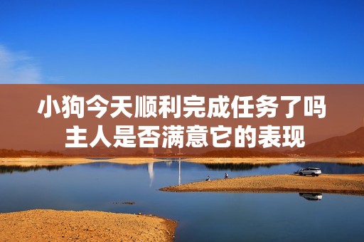 小狗今天顺利完成任务了吗 主人是否满意它的表现