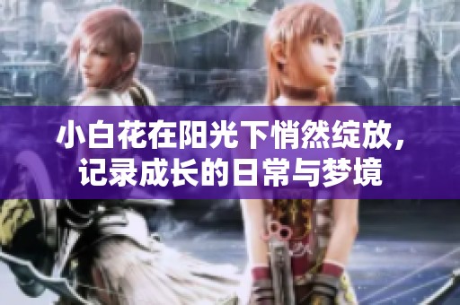 小白花在阳光下悄然绽放，记录成长的日常与梦境