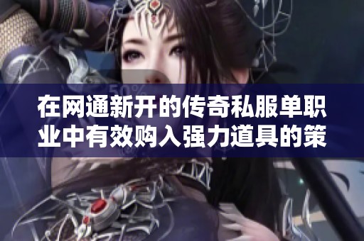 在网通新开的传奇私服单职业中有效购入强力道具的策略分享