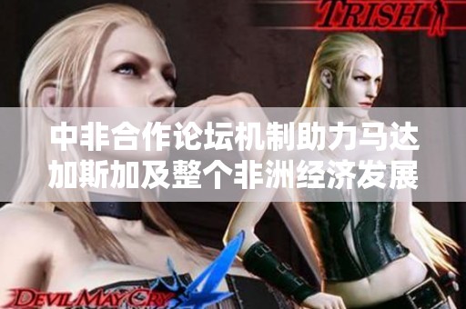 中非合作论坛机制助力马达加斯加及整个非洲经济发展