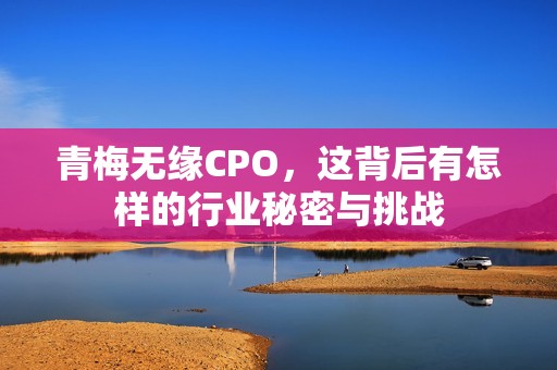 青梅无缘CPO，这背后有怎样的行业秘密与挑战