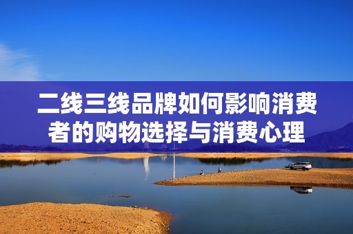 二线三线品牌如何影响消费者的购物选择与消费心理