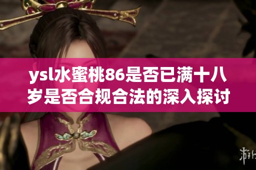 ysl水蜜桃86是否已满十八岁是否合规合法的深入探讨