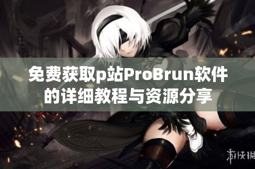 免费获取p站ProBrun软件的详细教程与资源分享