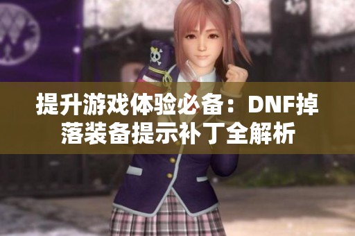 提升游戏体验必备：DNF掉落装备提示补丁全解析