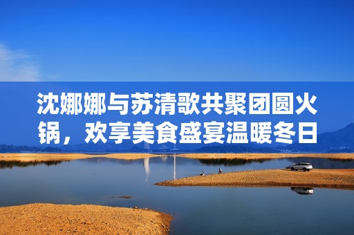 沈娜娜与苏清歌共聚团圆火锅，欢享美食盛宴温暖冬日