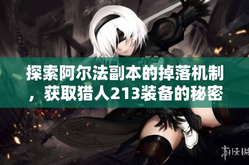 探索阿尔法副本的掉落机制，获取猎人213装备的秘密