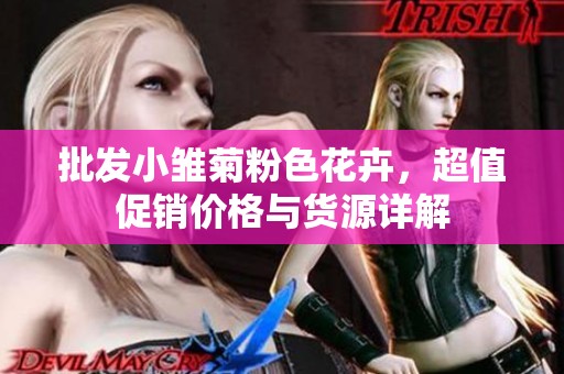 批发小雏菊粉色花卉，超值促销价格与货源详解
