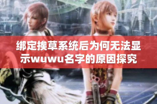 绑定挨草系统后为何无法显示wuwu名字的原因探究