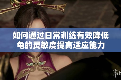 如何通过日常训练有效降低龟的灵敏度提高适应能力