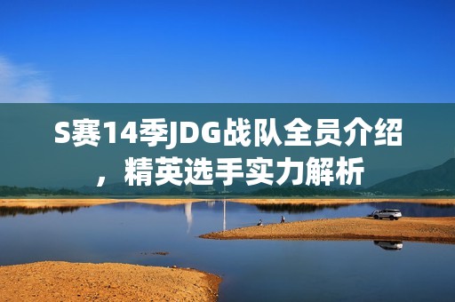 S赛14季JDG战队全员介绍，精英选手实力解析