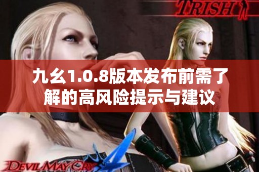 九幺1.0.8版本发布前需了解的高风险提示与建议