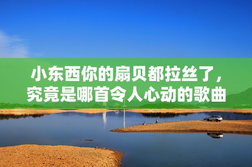 小东西你的扇贝都拉丝了，究竟是哪首令人心动的歌曲呢