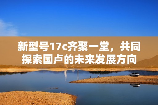 新型号17c齐聚一堂，共同探索国卢的未来发展方向