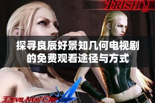 探寻良辰好景知几何电视剧的免费观看途径与方式