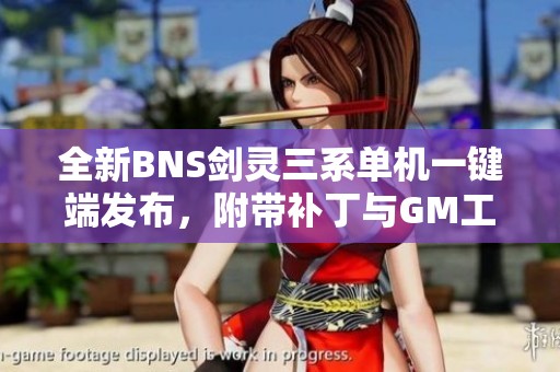全新BNS剑灵三系单机一键端发布，附带补丁与GM工具
