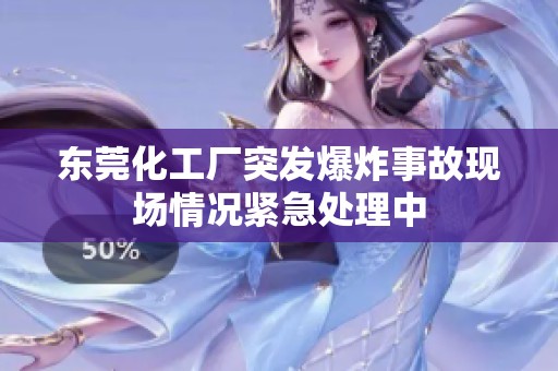 东莞化工厂突发爆炸事故现场情况紧急处理中