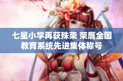 七星小学再获殊荣 荣膺全国教育系统先进集体称号