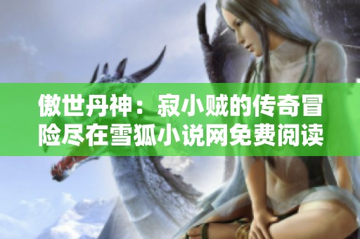 傲世丹神：寂小贼的传奇冒险尽在雪狐小说网免费阅读